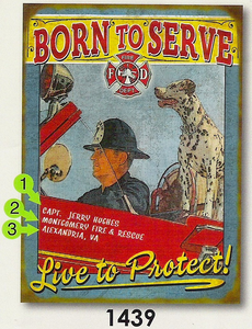 Born to Serve