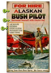 Bush Pilot