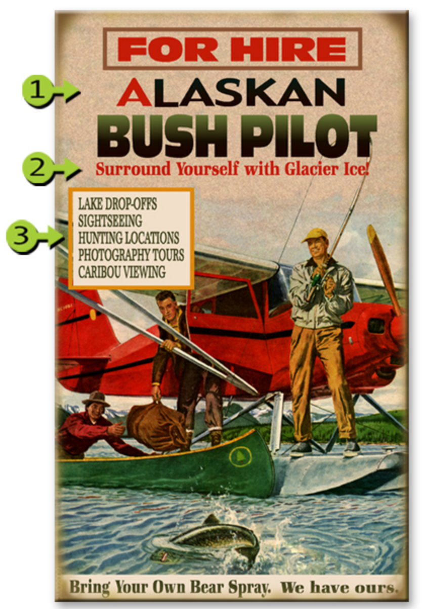 Bush Pilot