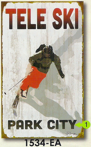Tele Ski