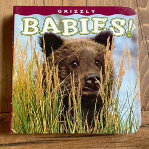 GRIZZLY BABIES!