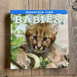 MOUNTAIN LION BABIES!