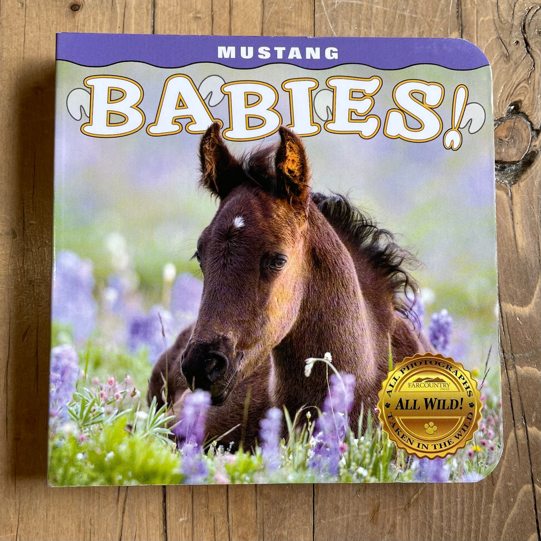 MUSTANG BABIES!