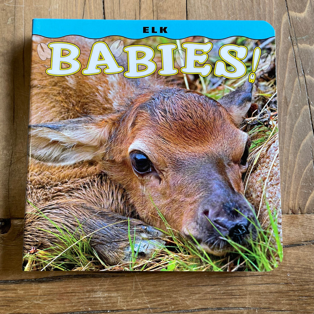 ELK BABIES!