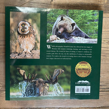 Load image into Gallery viewer, Wild Montana by Donald M. Jones
